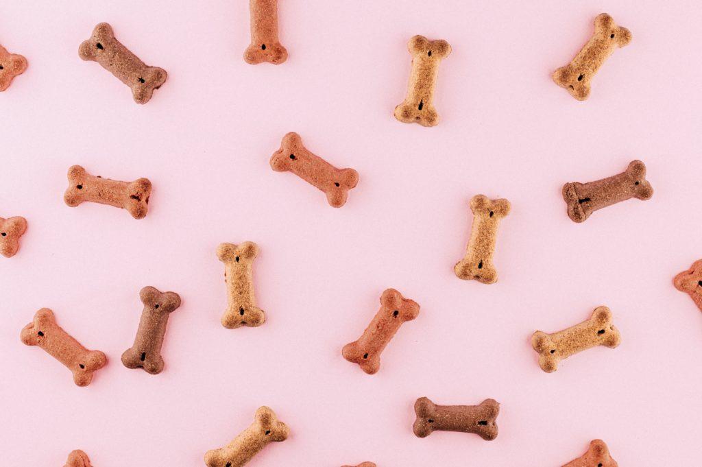 Various dog treats on a pink background